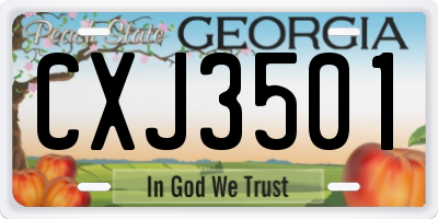 GA license plate CXJ3501