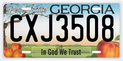 GA license plate CXJ3508