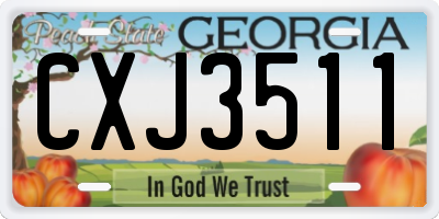 GA license plate CXJ3511