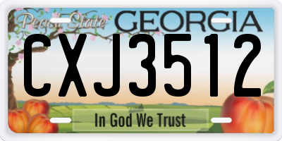 GA license plate CXJ3512