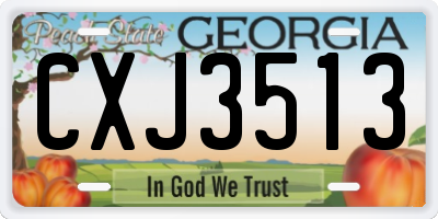GA license plate CXJ3513
