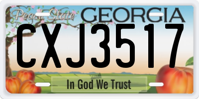 GA license plate CXJ3517