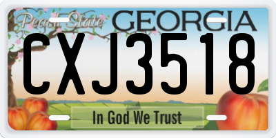 GA license plate CXJ3518