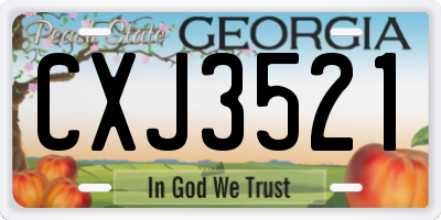GA license plate CXJ3521