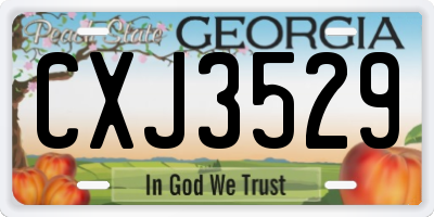 GA license plate CXJ3529