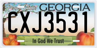 GA license plate CXJ3531