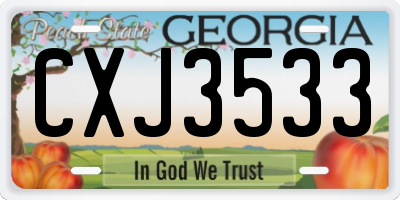 GA license plate CXJ3533