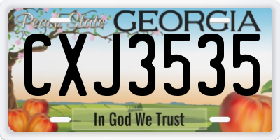 GA license plate CXJ3535