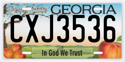 GA license plate CXJ3536