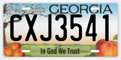 GA license plate CXJ3541