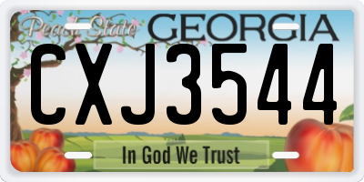 GA license plate CXJ3544