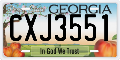 GA license plate CXJ3551