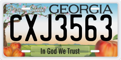 GA license plate CXJ3563