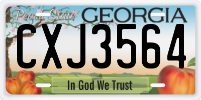 GA license plate CXJ3564