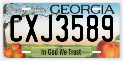 GA license plate CXJ3589