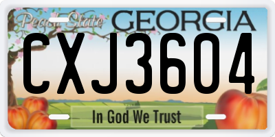 GA license plate CXJ3604