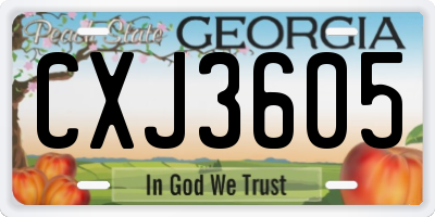GA license plate CXJ3605