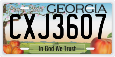 GA license plate CXJ3607