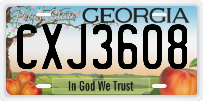 GA license plate CXJ3608
