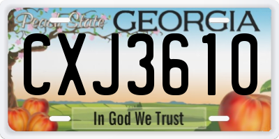 GA license plate CXJ3610