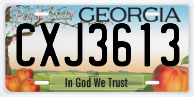 GA license plate CXJ3613