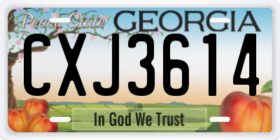 GA license plate CXJ3614