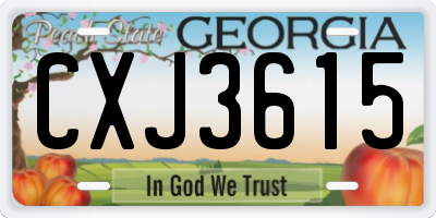 GA license plate CXJ3615