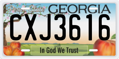 GA license plate CXJ3616