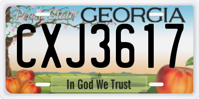 GA license plate CXJ3617