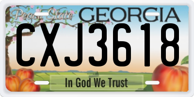 GA license plate CXJ3618