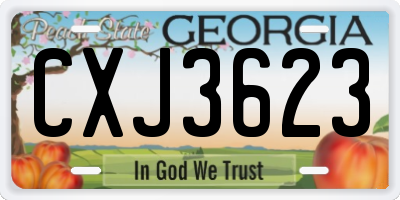 GA license plate CXJ3623