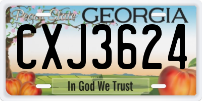 GA license plate CXJ3624