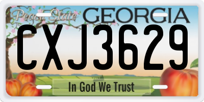 GA license plate CXJ3629