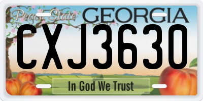 GA license plate CXJ3630