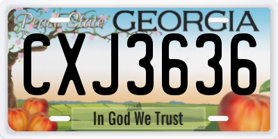 GA license plate CXJ3636