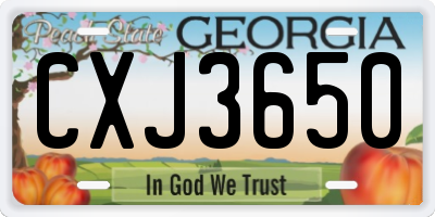 GA license plate CXJ3650