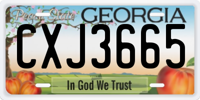 GA license plate CXJ3665