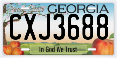 GA license plate CXJ3688