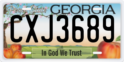 GA license plate CXJ3689
