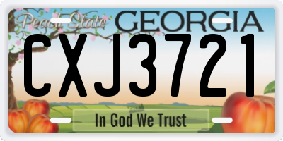 GA license plate CXJ3721