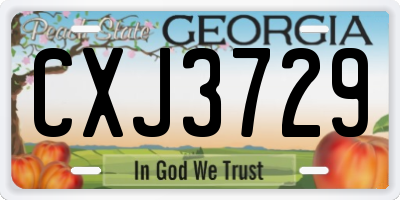 GA license plate CXJ3729