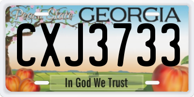GA license plate CXJ3733