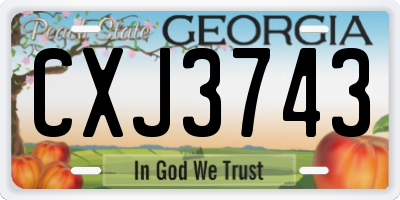 GA license plate CXJ3743