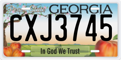 GA license plate CXJ3745