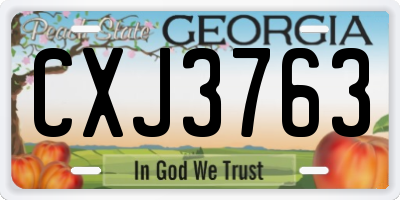 GA license plate CXJ3763