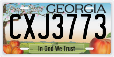 GA license plate CXJ3773
