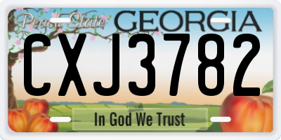 GA license plate CXJ3782