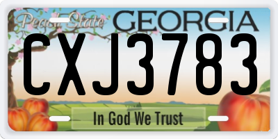 GA license plate CXJ3783