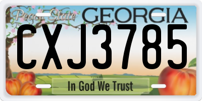 GA license plate CXJ3785