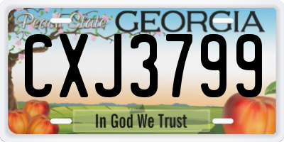GA license plate CXJ3799